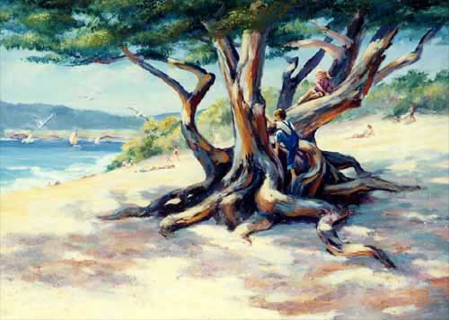 beach tree climbers